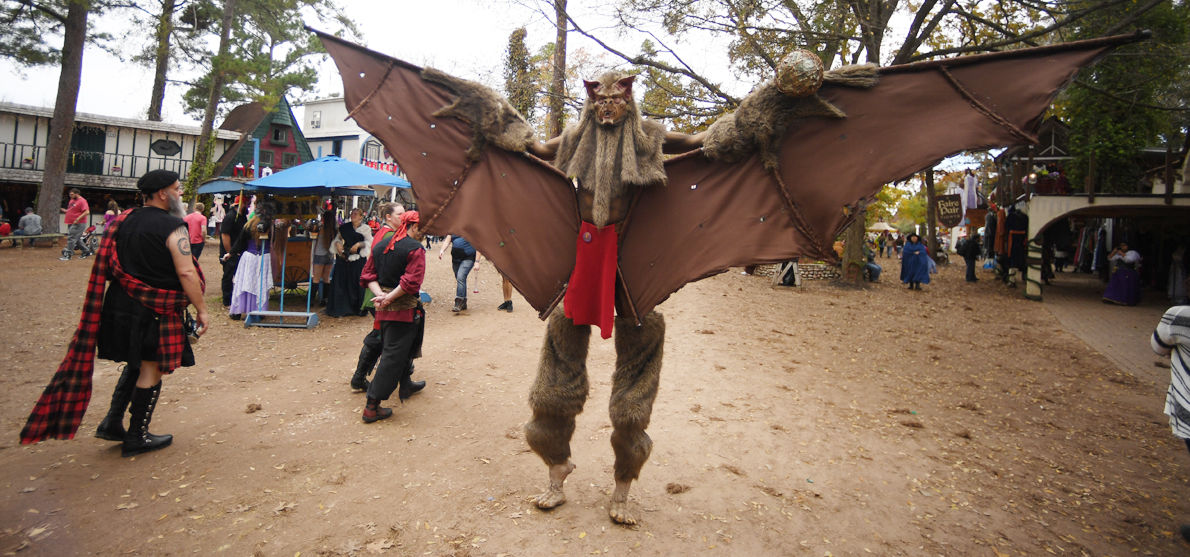 Texas Renaissance Festival